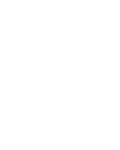 Netose logo